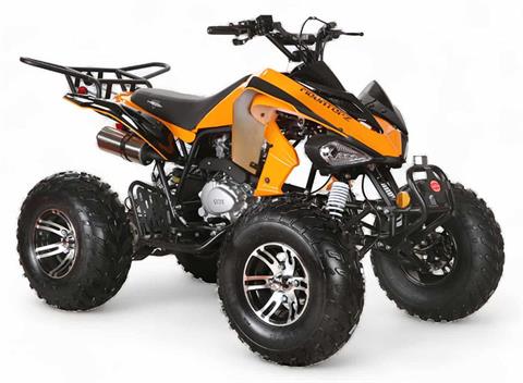 2024 Coolster ATV-3250S in Knoxville, Tennessee