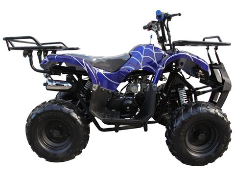 2024 Coolster ATV-3125R in Knoxville, Tennessee - Photo 2
