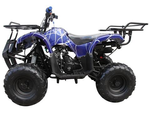 2024 Coolster ATV-3125R in Knoxville, Tennessee - Photo 3