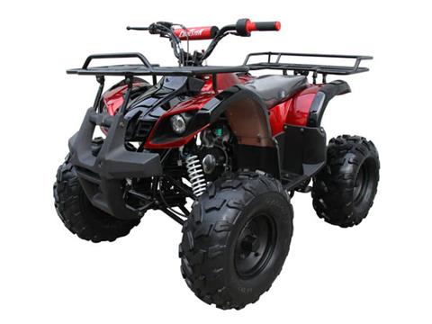 2024 Coolster ATV-3125XR8-U2 in Waynesboro, Mississippi