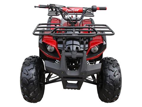 2024 Coolster ATV-3125XR8-US in Knoxville, Tennessee