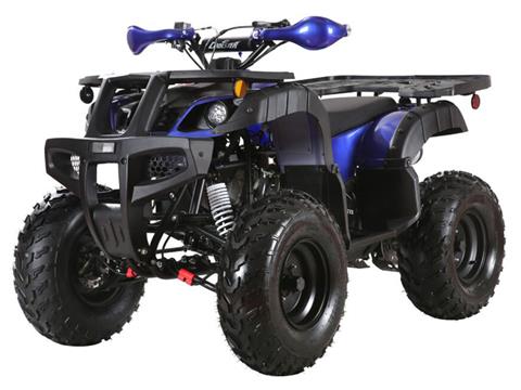 2024 Coolster ATV-3150DX-4 in Waynesboro, Mississippi