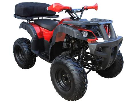 2024 Coolster ATV-3150DX-4 in Knoxville, Tennessee - Photo 4