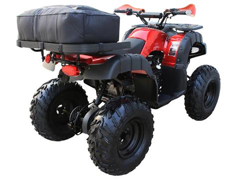 2024 Coolster ATV-3150DX-4 in Knoxville, Tennessee - Photo 6