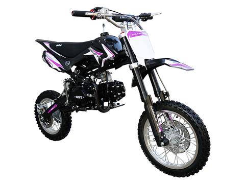 2023 Coolster XR-125A Automatic in Knoxville, Tennessee