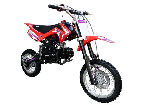 2023 Coolster XR-125A Automatic in Knoxville, Tennessee