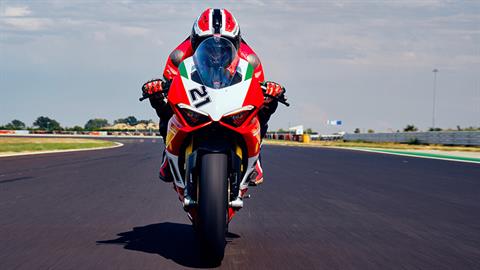 2022 Ducati Panigale V2 Bayliss 1st Championship 20TH Anniversary in Fort Montgomery, New York - Photo 13