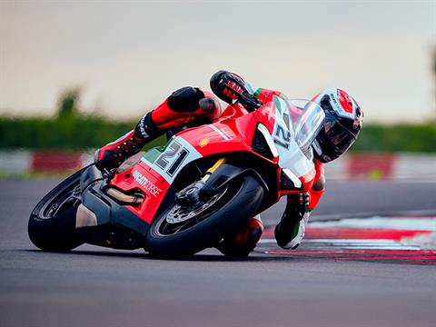 2024 Ducati Panigale V2 Bayliss 1st Championship 20th Anniversary in West Allis, Wisconsin - Photo 15