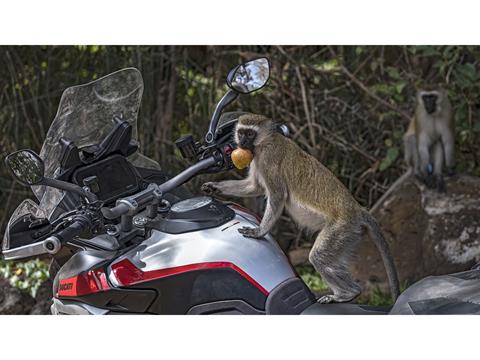 2025 Ducati Multistrada V4 Rally Adventure Travel & Radar in Saint Louis, Missouri - Photo 10