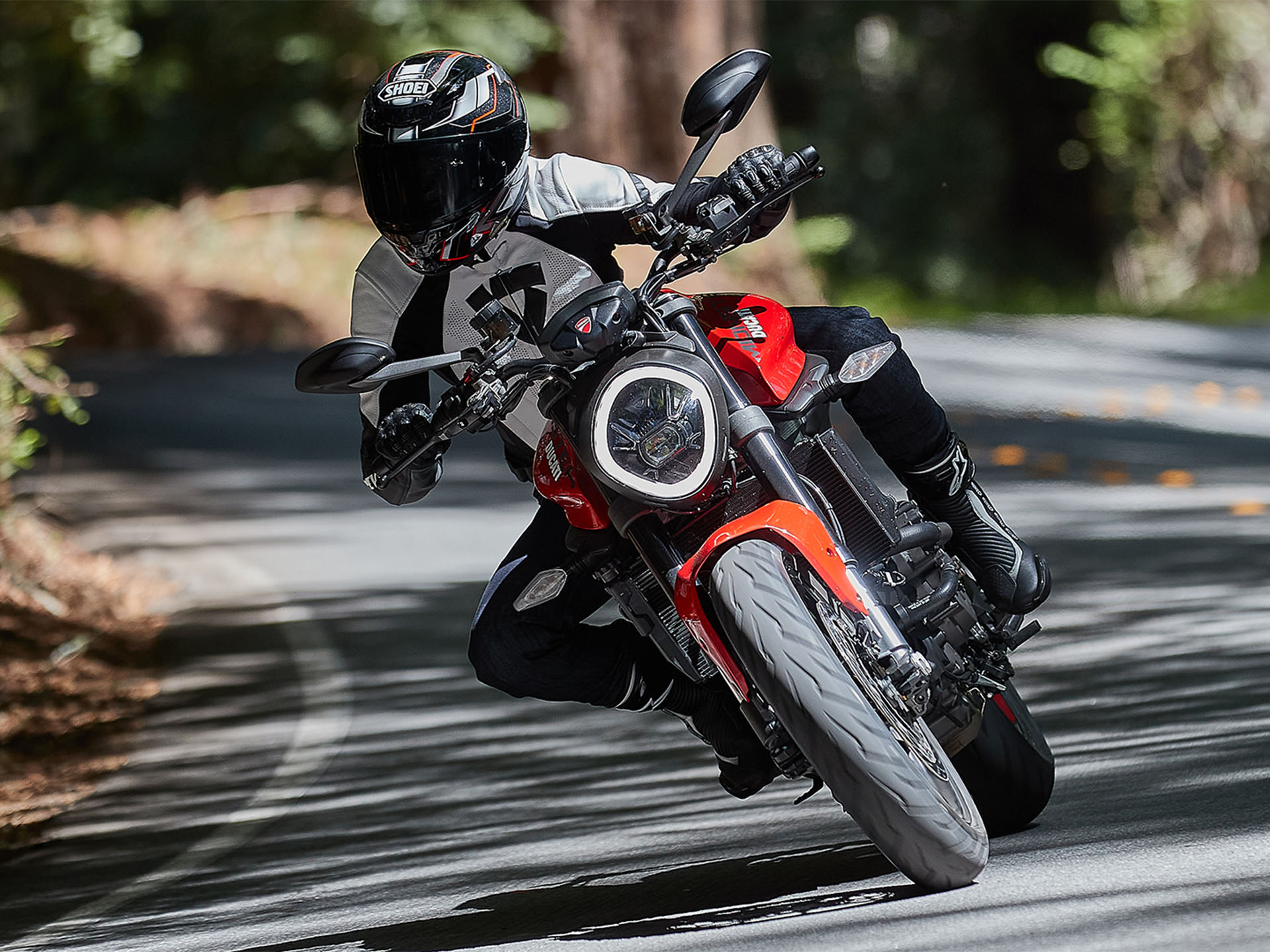 2025 Ducati Monster + in Greer, South Carolina - Photo 15