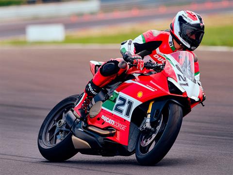 2025 Ducati Panigale V2 Bayliss 1st Championship 20th Anniversary in Elk Grove, California - Photo 17