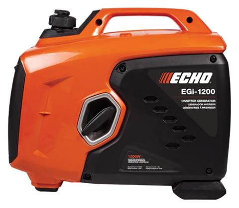 Echo EGi-1200 Generator in Lowell, Michigan