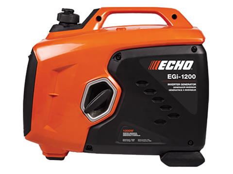 Echo EGi-1200 in Greenland, Michigan