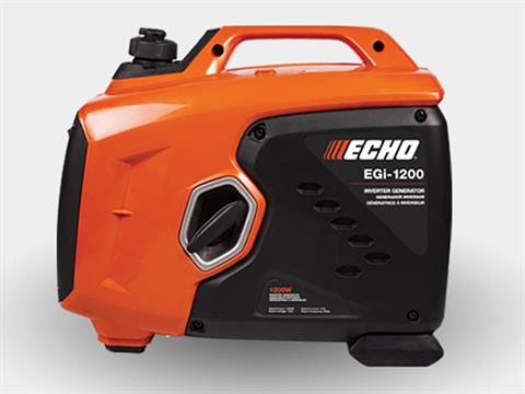 Echo EGi-1200 Generator in Cherry Creek, New York