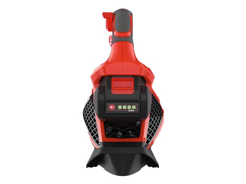 Echo DPB-2500R2 Includes 5.0Ah Battery & Rapid Charger in Saint Marys, Pennsylvania