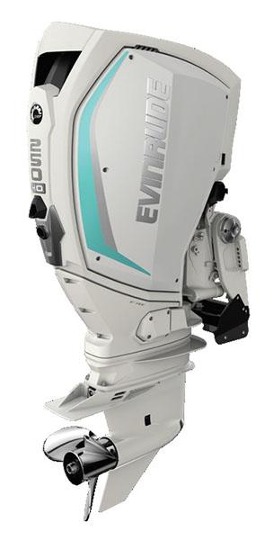 Evinrude E-TEC G2 250 HO (H250HWXF) in Rapid City, South Dakota
