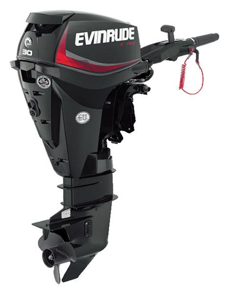 Evinrude E-TEC 30 HP (E30DGTL) in Deerwood, Minnesota