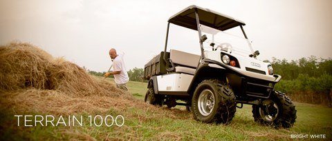 2016 E-Z-GO Terrain 1000 Gasoline in Douglas, Georgia