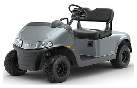 2022 E-Z-GO Freedom RXV 48-Volt in Jackson, Tennessee