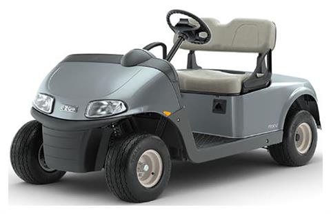 2022 E-Z-GO Freedom RXV 48-Volt in Newfield, New Jersey