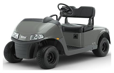 2022 E-Z-GO Freedom RXV Elite 4.2 Twin Pack in Gaylord, Michigan