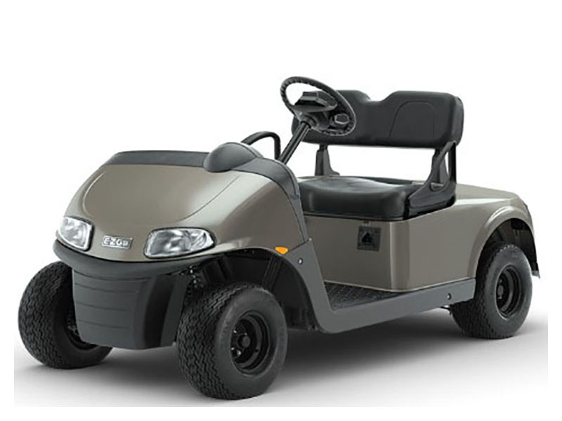 2023 E-Z-GO Freedom RXV ELiTE 2.2 Single Pack with Light World Charger in Aulander, North Carolina - Photo 1