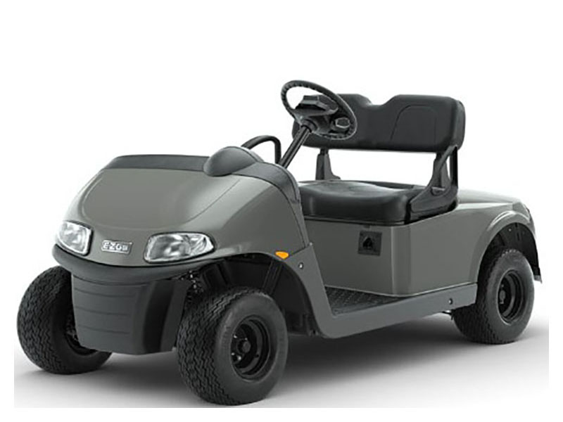 2023 E-Z-GO Freedom RXV ELiTE 2.2 Single Pack with Light World Charger in Aulander, North Carolina - Photo 1