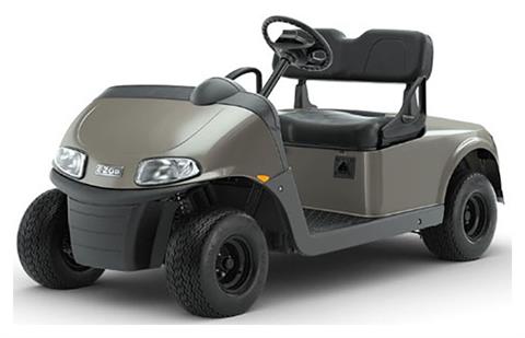 2023 E-Z-GO Freedom RXV ELiTE 2.2 Single Pack with Light World Charger in Jackson, Tennessee - Photo 1
