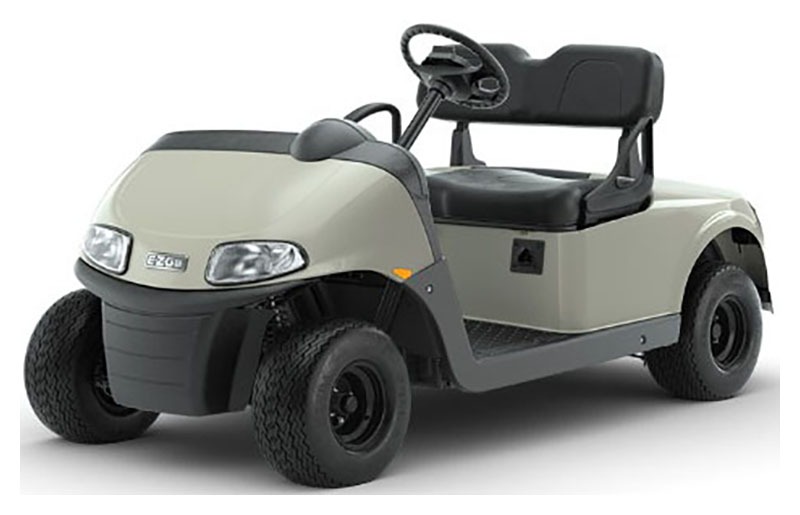 2023 E-Z-GO Freedom RXV ELiTE 2.2 Single Pack with Light World Charger in Tifton, Georgia - Photo 1