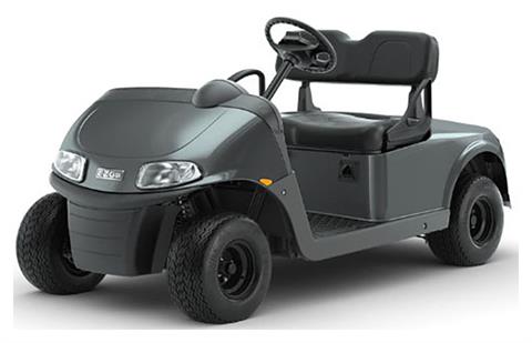 2023 E-Z-GO Freedom RXV ELiTE 2.2 Single Pack with Light World Charger in Huntsville, Texas - Photo 10