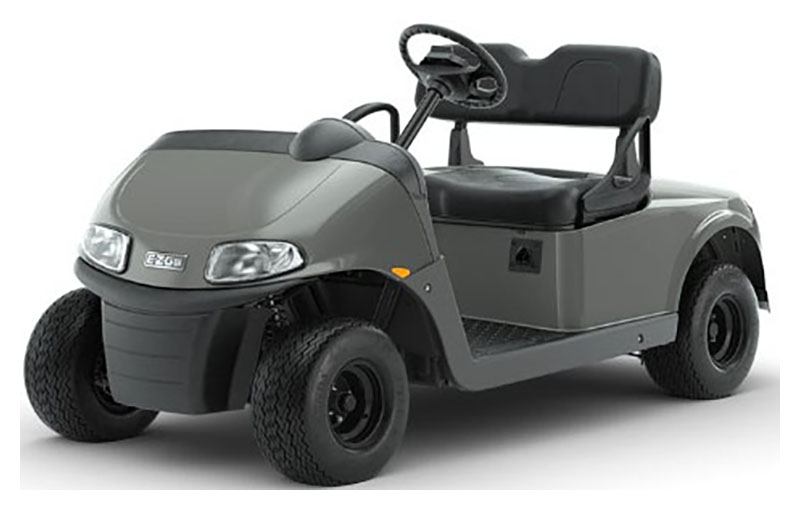 2023 E-Z-GO Freedom RXV ELiTE 2.2 Single Pack with Light World Charger in Sacramento, California - Photo 1