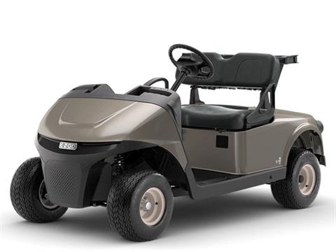 2025 E-Z-GO Freedom RXV EX1