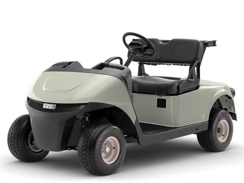 2025 E-Z-GO Freedom RXV EX1