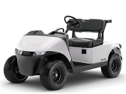 2025 E-Z-GO Valor EX1