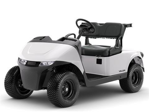 2025 E-Z-GO Valor EX1 Sport