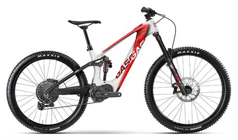 2024 GASGAS MXC 5 - XL