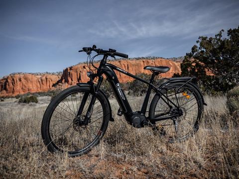 2023 Greenger Powersports Telluride in Hardeeville, South Carolina - Photo 6