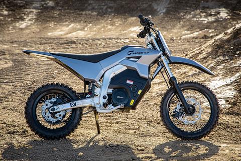 2023 Greenger Powersports G3 in Bakersfield, California - Photo 21