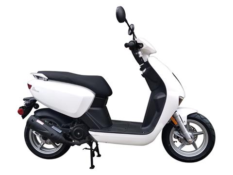 2022 Genuine Scooters Brio 50i in Fort Myers, Florida - Photo 3