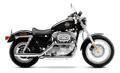 2002 Harley-Davidson XLH Sportster® 883 in Dodge City, Kansas - Photo 11