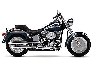 2003 Harley-Davidson FLSTF/FLSTFI Fat Boy® in Mauston, Wisconsin - Photo 10