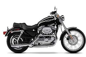 2003 Harley-Davidson XL 1200C Sportster® 1200 Custom in Sheboygan, Wisconsin - Photo 13