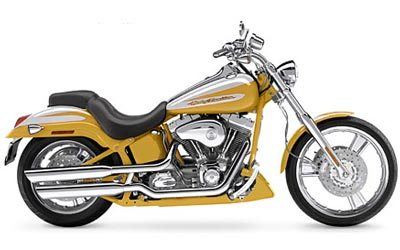 2004 Harley-Davidson FXSTDSE²  Screamin' Eagle® Softail® Deuce™ in Tyrone, Pennsylvania - Photo 9