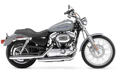 2004 Harley-Davidson Sportster® XL 1200 Custom in New York Mills, New York - Photo 9