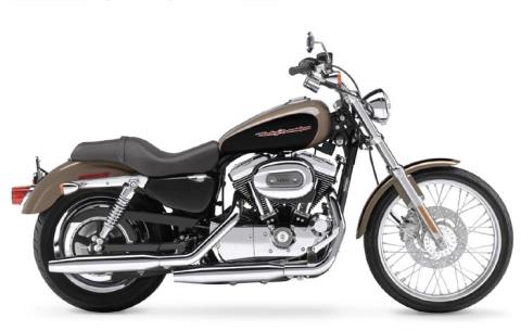 2004 Harley-Davidson Sportster® XL 1200 Custom in Escanaba, Michigan - Photo 6