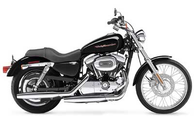 2004 Harley-Davidson Sportster® XL 1200 Custom in Clarksville, Tennessee