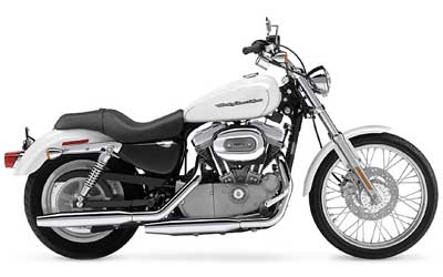 2004 Harley-Davidson Sportster® XL 883 Custom in Charleston, Illinois - Photo 9