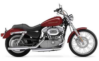 2004 Harley-Davidson Sportster® XL 883 Custom in Shorewood, Illinois