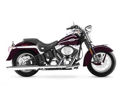 2005 Harley-Davidson FLSTSC/FLSTSCI Softail® Springer® Classic in Mauston, Wisconsin - Photo 10