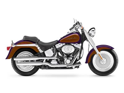 2006 Harley-Davidson Fat Boy® in Syracuse, New York - Photo 6